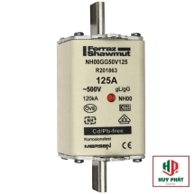 Cầu Chì Ferraz Shawmut R201863 -NH000 125A