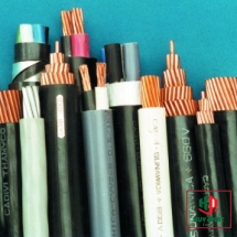 Cáp hạ thế CADIVI